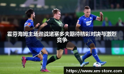霍芬海姆主场迎战堵塞多夫期待精彩对决与激烈竞争